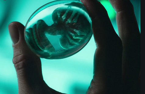 HORRIFIC IMAGES OF ALIEN EMBYROS IN THE VAXXED EXPOSED