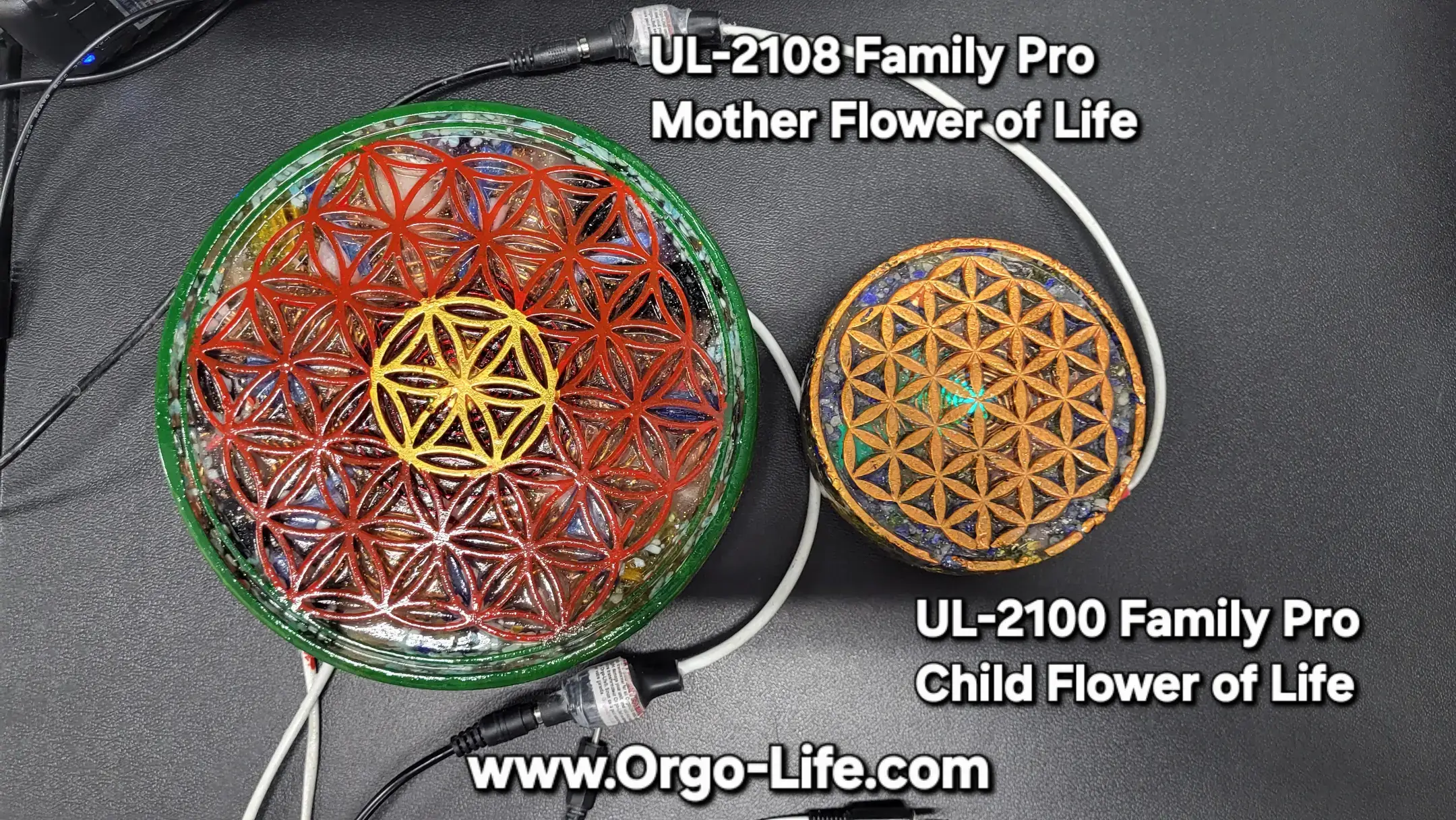 A moment of grounding and clarity inside the OrgoLife MedBed Center — the kind of calm modern life rarely allows.